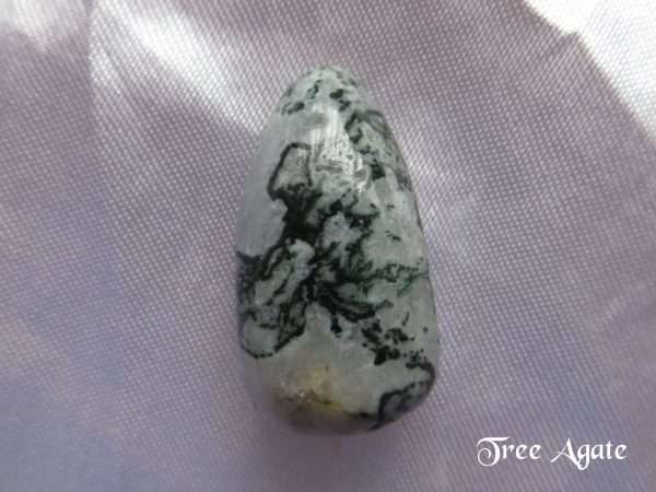 Tree agate gemstone crystal. Tumbled oblong stone, white quartz appearance with growths of dark green throughout. White satin background.