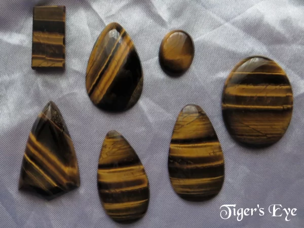 Tiger's eye gemstone crystal cabochons. Shimmers of deep yellow ochre amidst bands of dark brown. Peardrop, oval, oblong and shield shapes. White satin background.