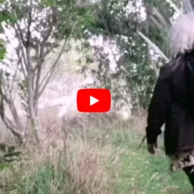 A sneak peek into Kathryn's design process. Partial view of back of a long blonde haired woman with black jacket walking along grassy path between trees