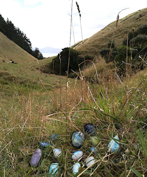 Gemstones and crystals on the grass with Kapiti Island in the background